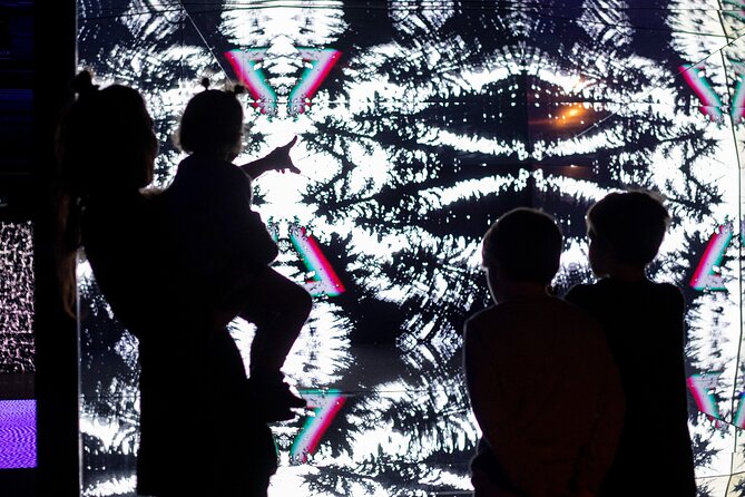 Prague Lumia Light Show With Gallery Ticket - Ticket Pricing and Inclusions