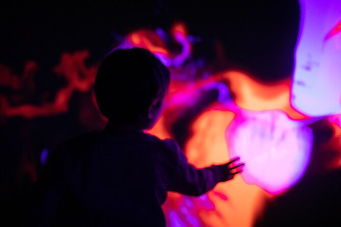 Prague Lumia Light Show With Gallery Ticket - Accessibility and Mobility Considerations