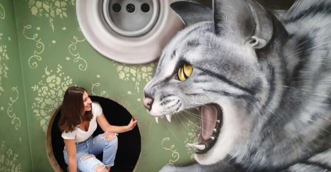 Prague: Museum of Fantastic Illusions Entry Ticket - Visitor Feedback and Ratings