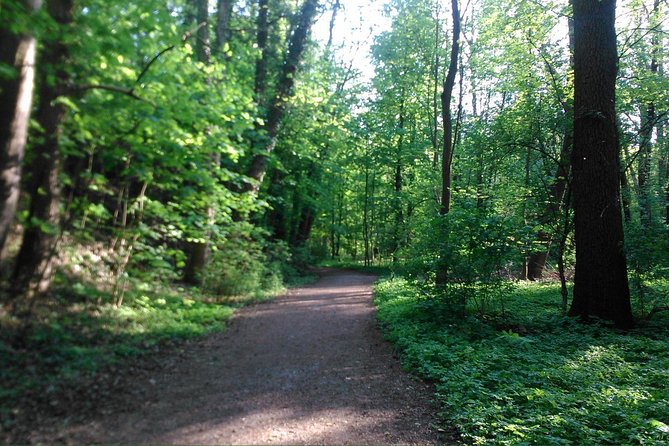 Prague Nature Highlights PRIVATE E-Bike Tour - Navigating Pragues Quaint Alleyways