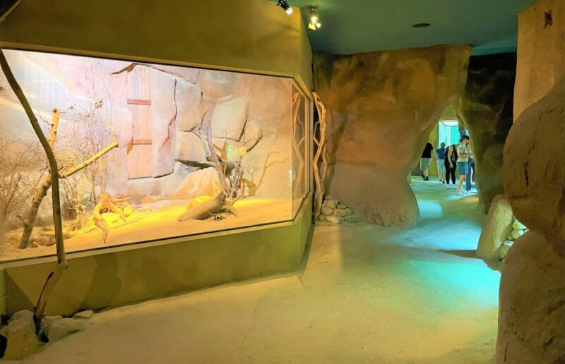 Prague: Prague Zoo Audio Guide With E-Ticket - Key Points