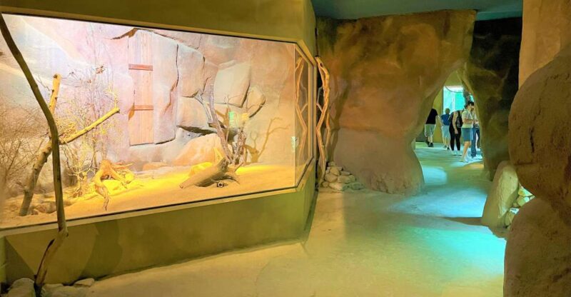 Prague: Prague Zoo Audio Guide With E-Ticket - Zoo Experience Overview