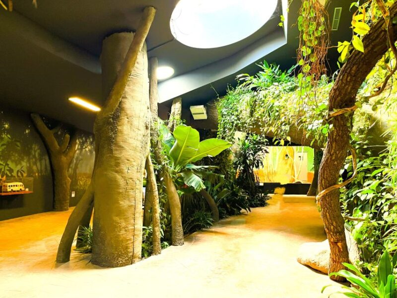 Prague: Prague Zoo Audio Guide With E-Ticket - Accessibility and Meeting Point