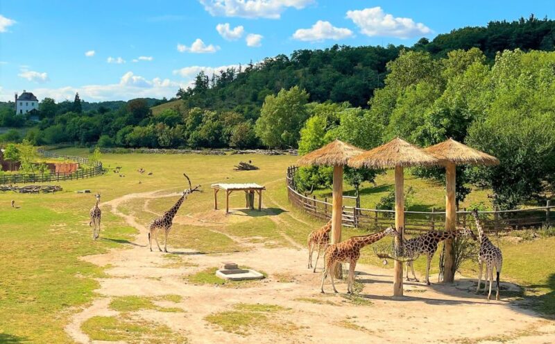 Prague: Prague Zoo Audio Guide With E-Ticket - Customer Review Highlights