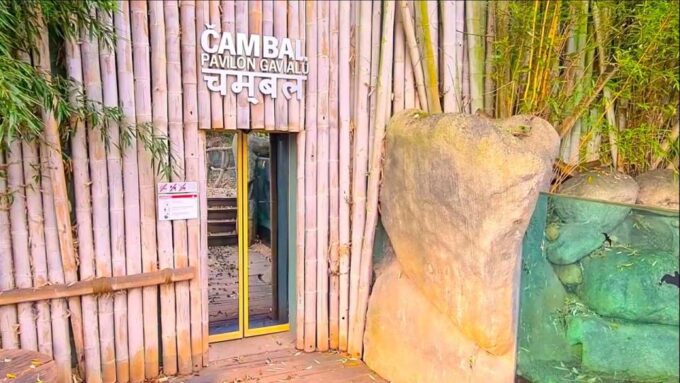 Prague: Prague Zoo Audio Guide With E-Ticket - Cancellation and Refund Policy