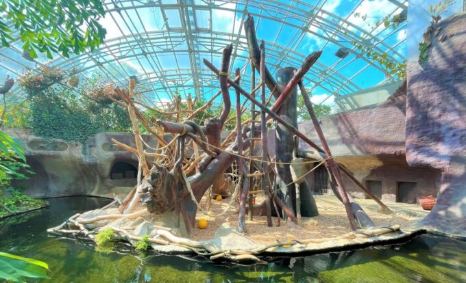Prague: Prague Zoo Audio Guide With E-Ticket - Validity and E-Ticket Information