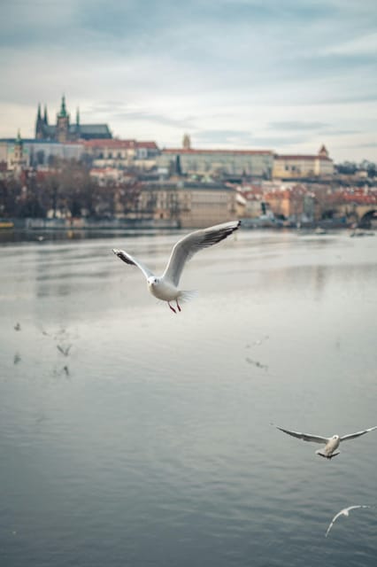 PRAGUE PRIVATE BOOZE CRUISE - Meeting Point
