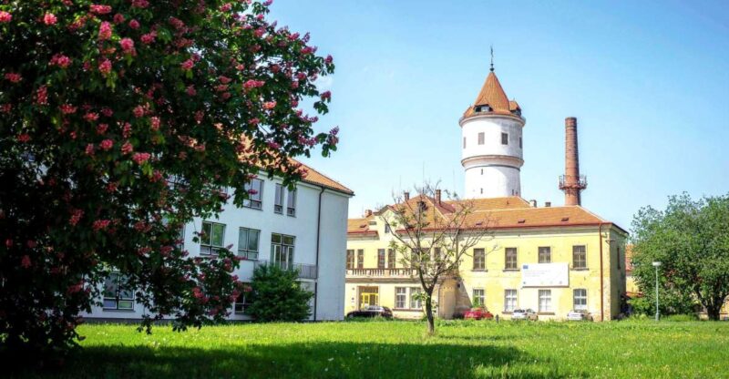 Prague: Psychiatric Hospital and Abandoned Cemetery Tour - Psychiatric Hospital Exploration