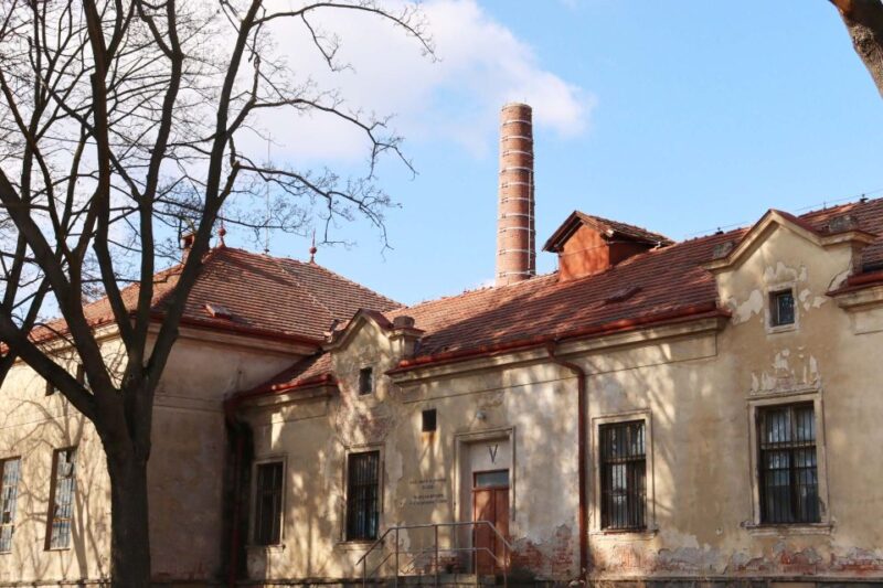 Prague: Psychiatric Hospital and Abandoned Cemetery Tour - Cemetery Visit and Stories