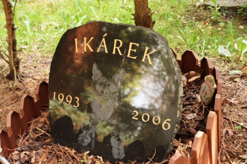Prague: Psychiatric Hospital and Abandoned Cemetery Tour - Historical Psychiatric Treatments