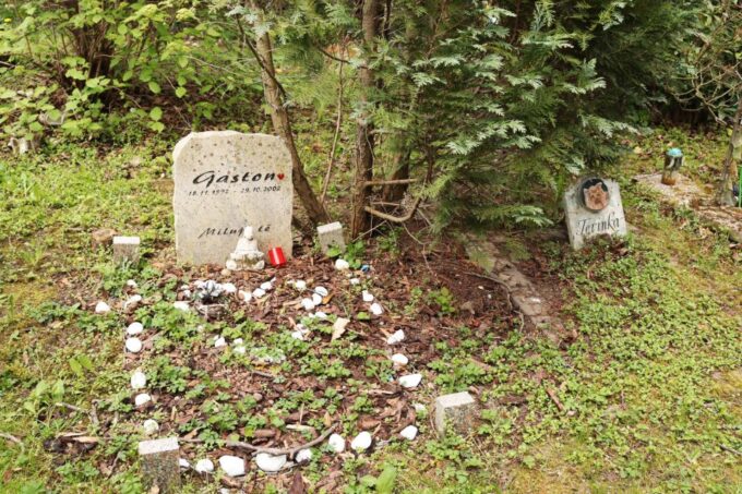 Prague: Psychiatric Hospital and Abandoned Cemetery Tour - Customer Ratings and Reviews