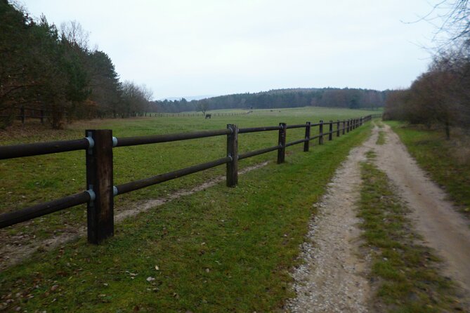 Prague to Karlstejn Trail Running Tour - Trail Running Experience