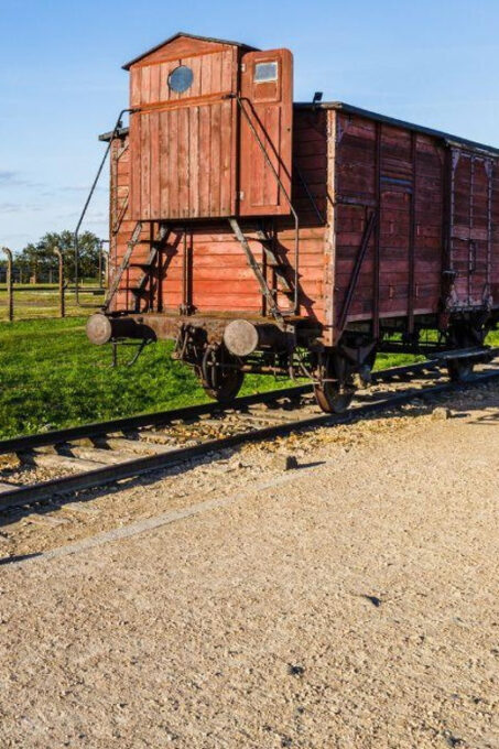 Prague: Tour to Auschwitz Birkenau - Guided Exploration of Camps
