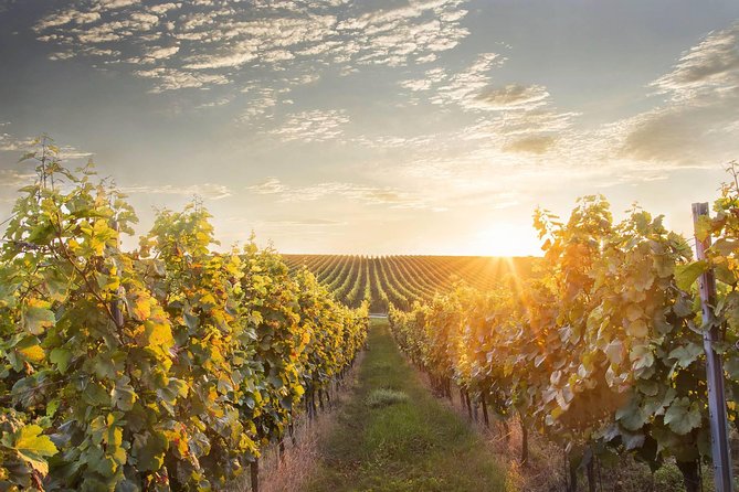 Prague-Vienna One-Way Sightseeing Day Tour - Inclusions and Meeting Details