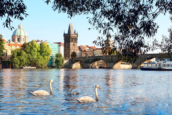 Prague Vltava River Lunch Cruise - Dining Experience