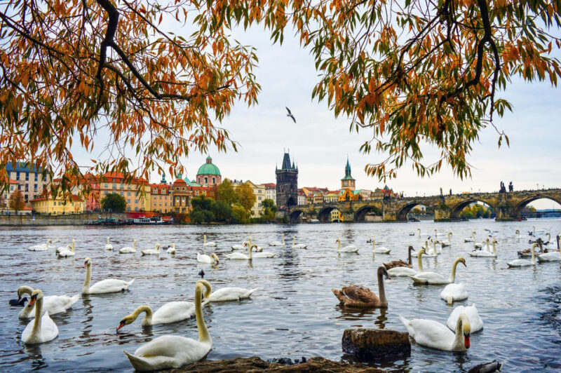 PRAGUE: Your ROMANTIC FILM • Reel for COUPLE - FAMILY - Kampa Island Explorations