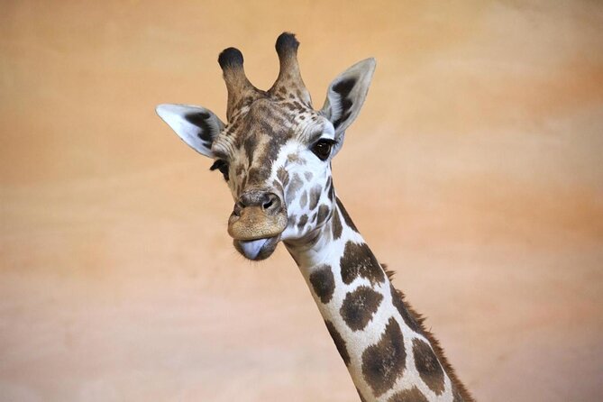 Prague Zoo Admission Ticket Including Round Trip Transfer - About Your Stay