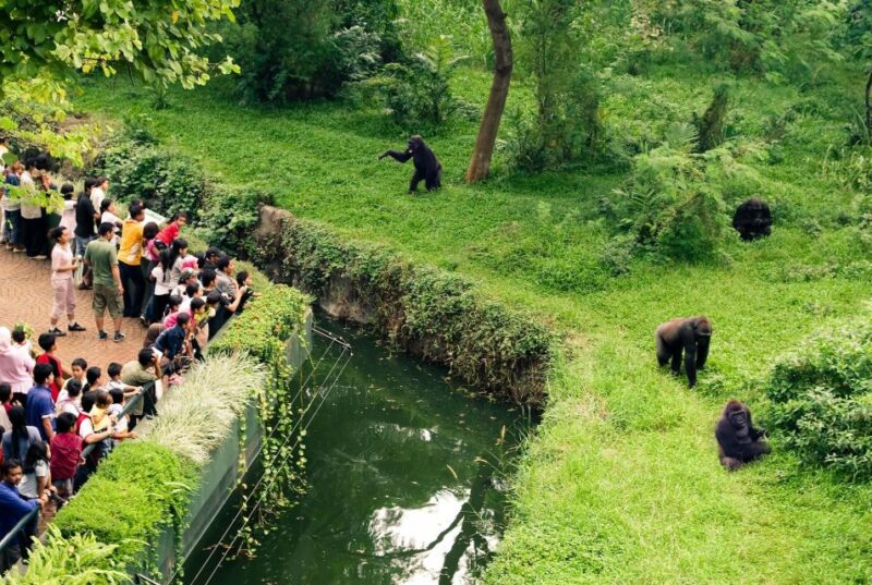 Prague Zoo Skip-the-line Tickets and Private Transfers - Check-in and Itinerary