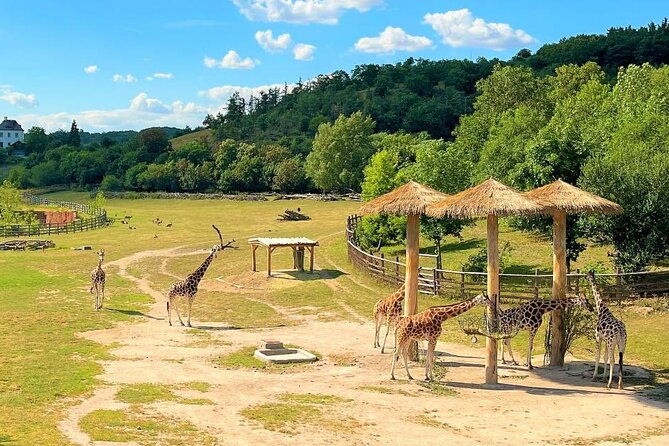 Prague Zoo Ticket With Online Audio Guide - Convenient Booking and Cancellation