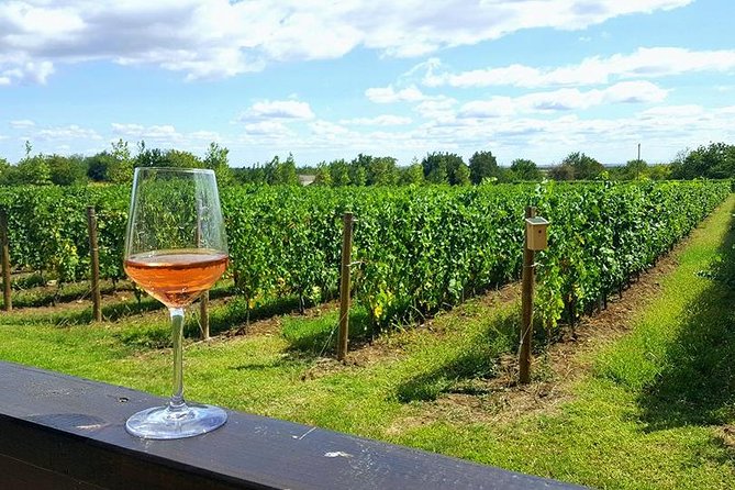 Prahova Valley Wine Tour From Bucharest Small Group - About Your Stay