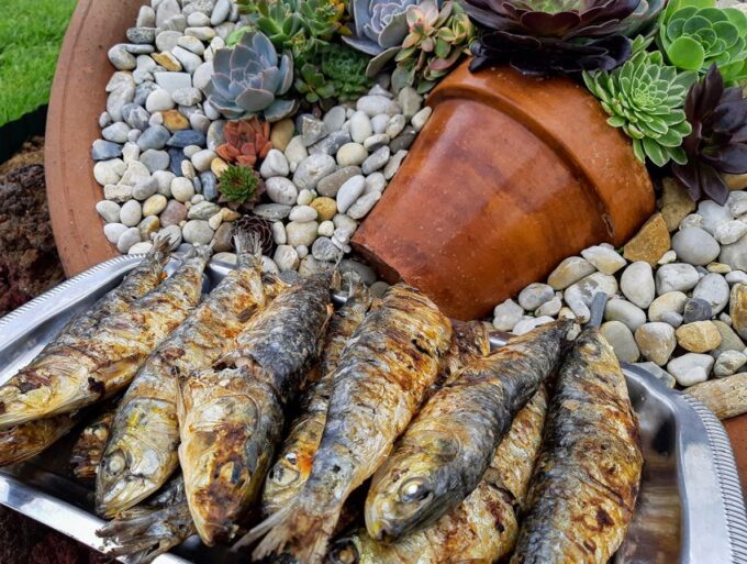 Praia Da Vitória: Island Dinner Experience With Locals - Participant Reviews