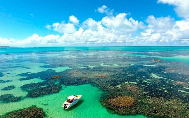 Praia De Paripueira Beach Day Tour - Snorkeling Experience
