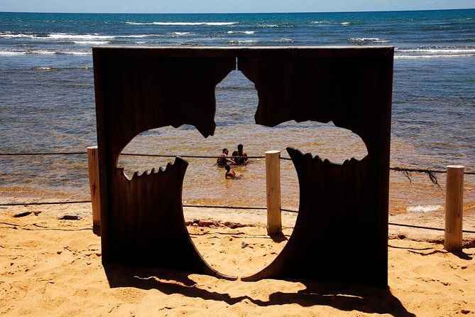Praia Do Forte With Guarajuba Beach - Day Trip From Salvador - Transportation Arrangements