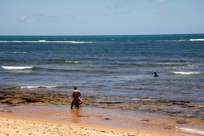 Praia Do Forte With Guarajuba Beach - Day Trip From Salvador - Traveler Reviews and Feedback