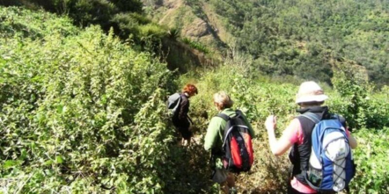 Praia: Guided Hike From Rui Vaz - Experience Highlights