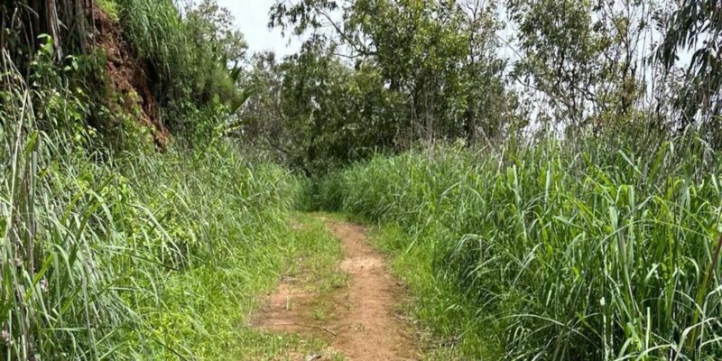 Praia: Guided Hike From Rui Vaz - Tour Details