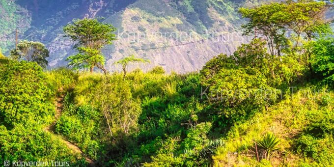 Praia: Guided Hike From Rui Vaz - Frequently Asked Questions