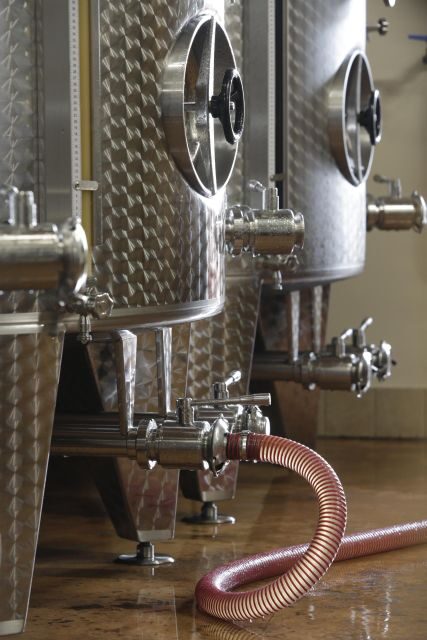 Pramaggiore: Ornella Bellia Winery Guided Tour & Tasting - Experience the Charm of Ornella Bellia Winery