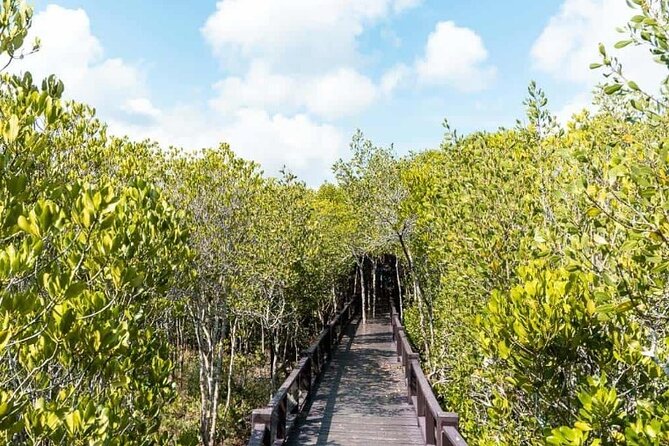 Pranburi Forest Park and Khao Daeng Join Tour From Hua Hin - Tour Overview