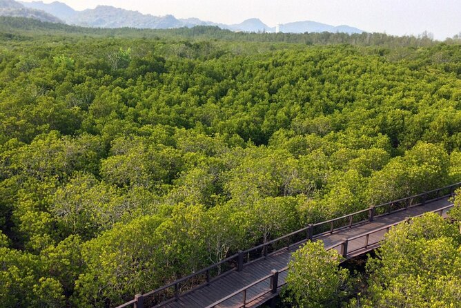 Pranburi Forest Park and Khao Daeng Join Tour From Hua Hin - Tour Requirements and Accessibility