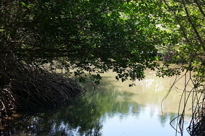 Pranburi Forest Park and Khao Daeng Join Tour From Hua Hin - Booking and Cancellation Policy