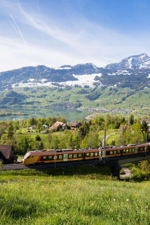 Pre-Alps Express: Journey Between St. Gallen and Arth-Goldau - Key Points
