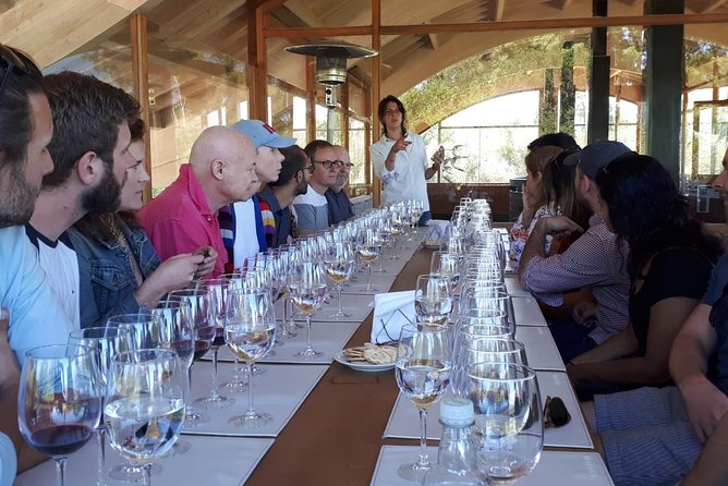 Pre or Post Valparaiso Cruise With Santiago City Tour and Optional Vineyard - Customer Feedback and Ratings