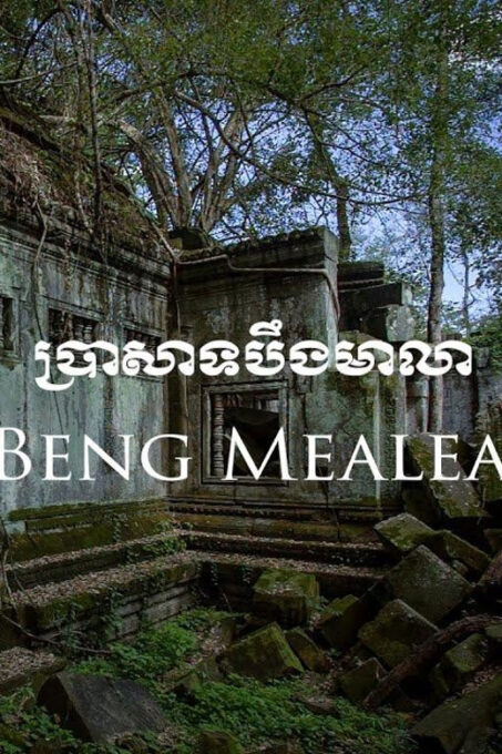 Preah Vihear, Koh Ker and Beng Mealea Private Day Tour - Customer Feedback