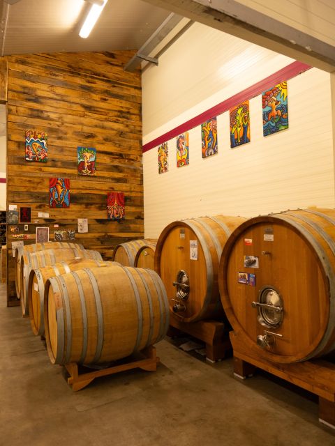 Predappio Wine Experience: Wine Tasting and Vineyard Tour - Key Points