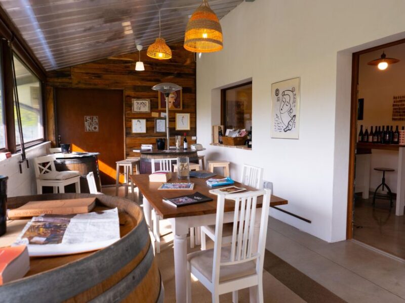 Predappio Wine Experience: Wine Tasting and Vineyard Tour - Premium Experience - 10 Wines