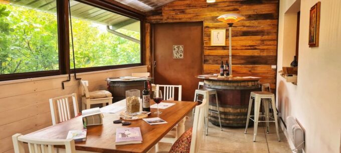 Predappio Wine Experience: Wine Tasting and Vineyard Tour - Cellar Visit and Appetizers