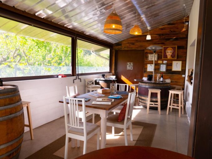 Predappio Wine Experience: Wine Tasting and Vineyard Tour - Gourmet Lunch Option