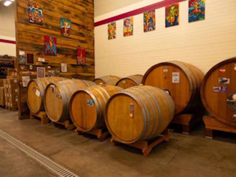 Predappio: Wine Tasting and Vineyard Tour Experience - Highlights of the Experience