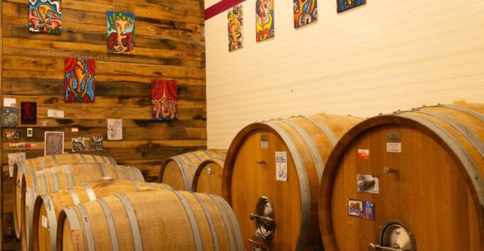 Predappio: Wine Tasting and Vineyard Tour Experience - Tasting Exceptional Wines