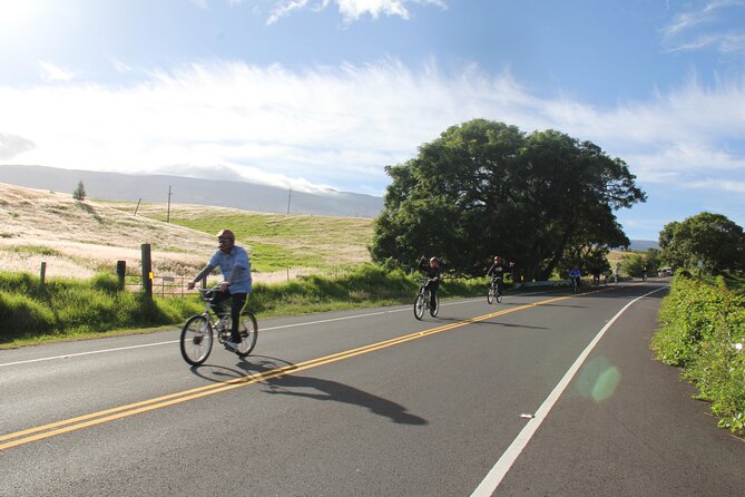 Predawn-Morning Haleakala Bike Tour 6,500 to Sea Level - Exploring Haleakala Volcano