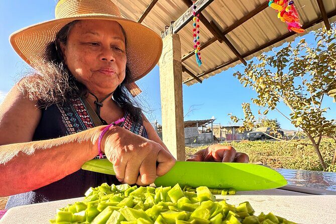 Prehispanic Tacos Cooking Class - Discovering Baja’s Roots with the Prehispanic Tacos Cooking Class