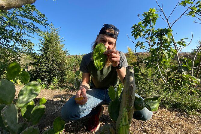 Prehispanic Tacos Cooking Class - FAQ