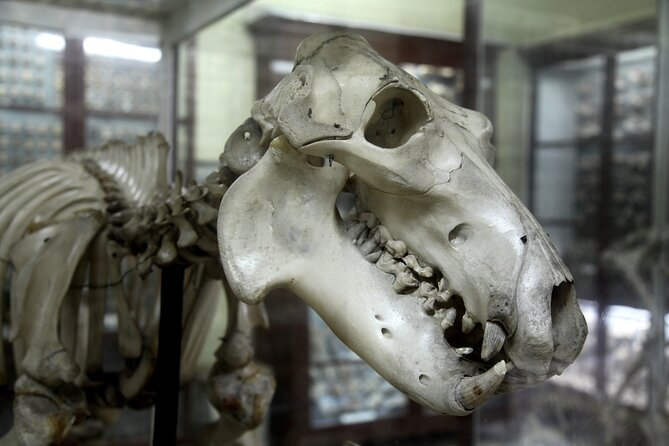 Prehistoric Temples and Highlights of the South Full-Day Tour - Additional Information