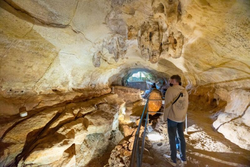 Prehistoric Temples of Malta Tour - Tour Highlights and Experience