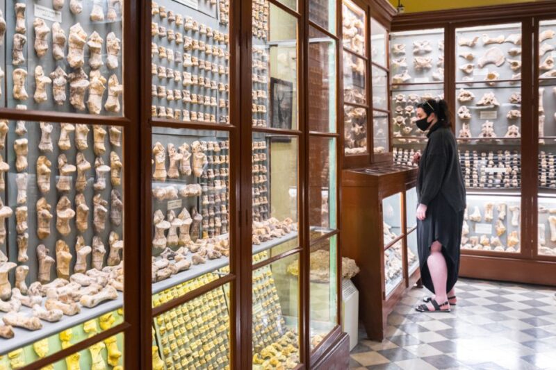 Prehistoric Temples of Malta Tour - Customer Reviews and Ratings
